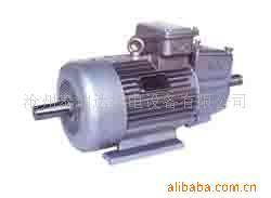 滄州泰瑞達(dá)機(jī)電設(shè)備 特殊電機(jī)產(chǎn)品列表