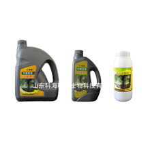 大樹澆灌生根靈 山東科海聯邦生物科技在現代信息技術領域的跨界創新